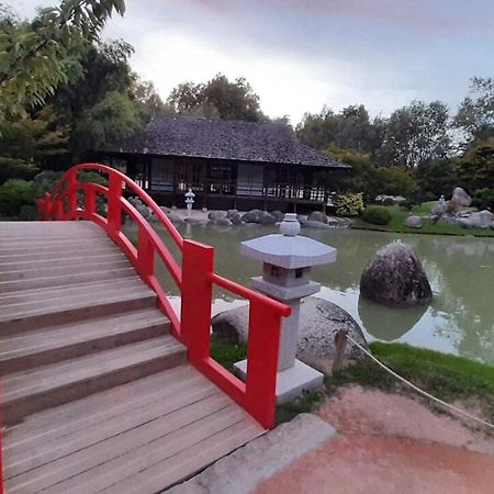 Magnifique Studio Compans Caffarelli Тулуза Экстерьер фото